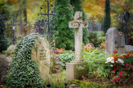 Todavía gastamos más en flores para los difuntos que en Halloween, pero la crisis energética y el relevo generacional podría cambiarlo