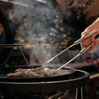 Barcelona pone fin a las calçotadas: así es la norma que prohibe (y multa) barbacoas en terrazas y balcones