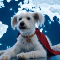 James Gunn quiere que Superman sea para toda la familia así que eliminó una brutal escena: así hubiera sido la pelea entre Krypto y Ultraman