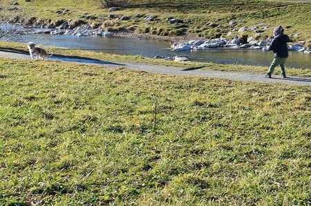 Correa Corta Correa Larga Mejor Bosque Montana