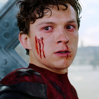 A Tom Holland le encantaría ver una versión sangrienta y sin filtros de Spider-Man junto a The Punisher en la televisión: "Quiero devolverle el favor" 