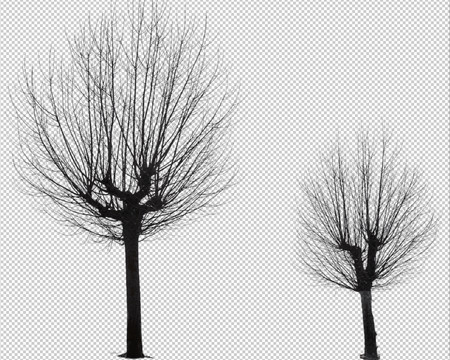 Más métodos para seleccionar objetos en Adobe Photoshop