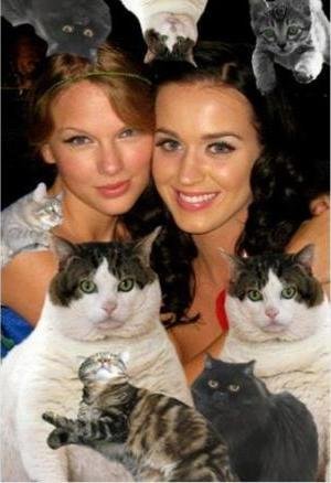 Katy Perry y Russell Brand, van a compartir algo más que una vida en común: un gato