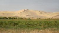 Paisajes impactantes: las dunas de Khongoryn Els, en Mongolia