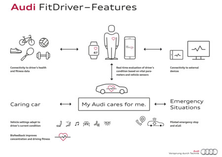 Audi Fit Driver