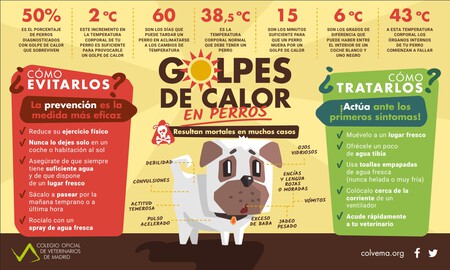 Graficomascotas