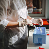 Estudo inédito confirma: homens trans podem ser pais biológicos por FIV no Brasil 