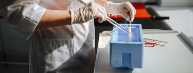 Estudo inédito confirma: homens trans podem ser pais biológicos por FIV no Brasil 