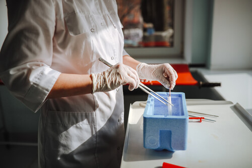 FIV | Fonte: Getty Images