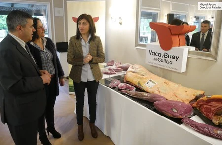 Que no te den vaca por buey: Galicia empieza a certificar sus reses “para evitar la picaresca comercial”