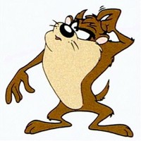 Plan General de Contabilidad: Principales Cambios (V)