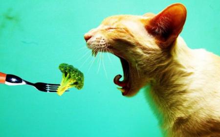 13 ideas para darle un giro creativo a nuestras fotografías con Sony