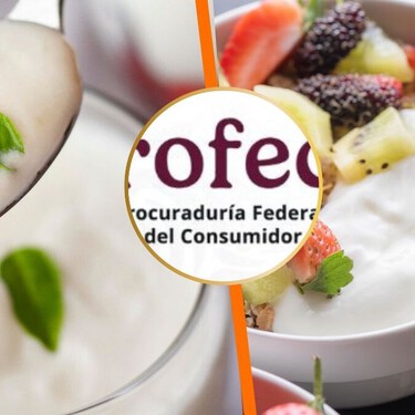 Estas son las 6 marcas de yogurt natural económicas que Profeco recomienda consumir: son altas en nutrientes