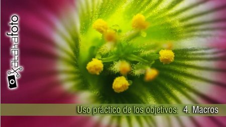 Uso práctico de los objetivos: 4. Macros