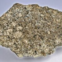 Los meteoritos encontrados en el Sahara que podrían revelar los secretos más antiguos de nuestro sistema solar
