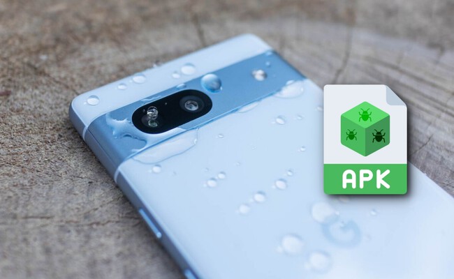 Pixel Vulnerabilidad Grave