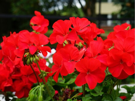 Diseno Sin Titulo 10