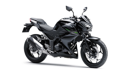 Kawasaki Z250 y Z300, la versión naked que puede llegar