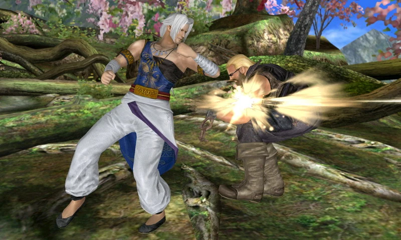 Foto de 300111 - DOA 3DS (combates) (19/29)