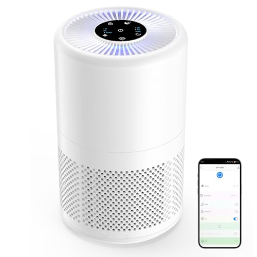 Purificador de Aire para Casa, Filtro de Aire HEPA H13