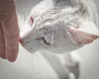 Confianza en uno mismo, la asignatura más difícil de aprobar