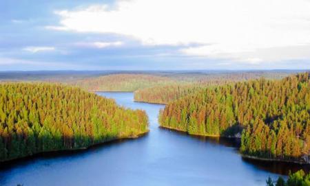 Repoveden Kansallispuisto Kesayonauringossa