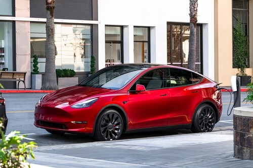 Model Y Garantia Fraude