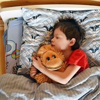 Canciones populares infantiles: 'Cinco monitos'
