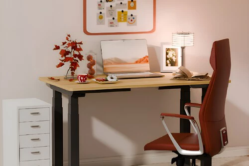 Escritorio elevable Flexispot