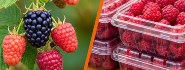 Este Pueblo Mágico en Puebla es famoso en el mundo por sus deliciosos frutos rojos