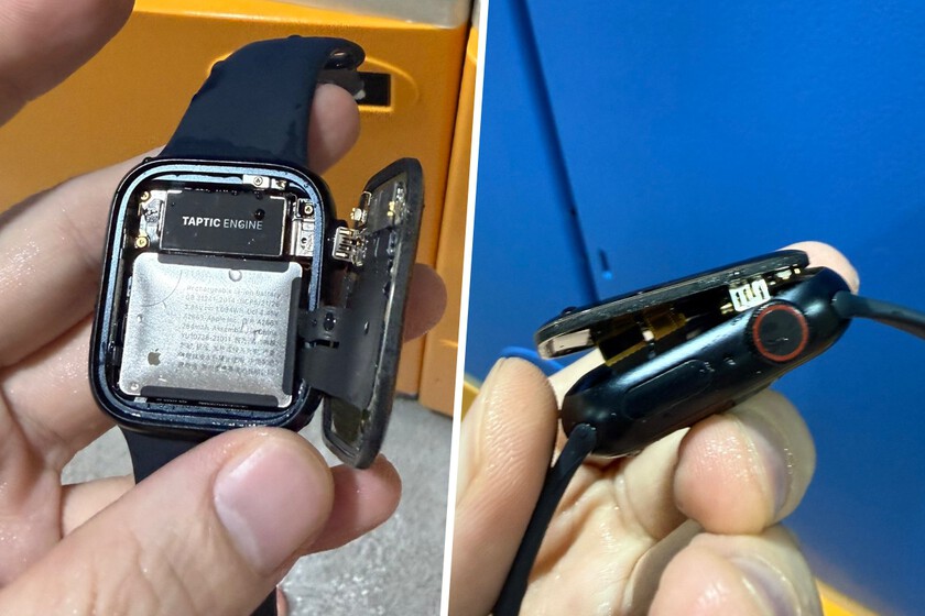 Se metió al agua con su Apple Watch y perdió la pantalla en el acto: hay algo que aprender de todo esto