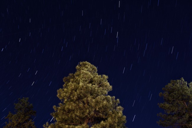 Perseidas