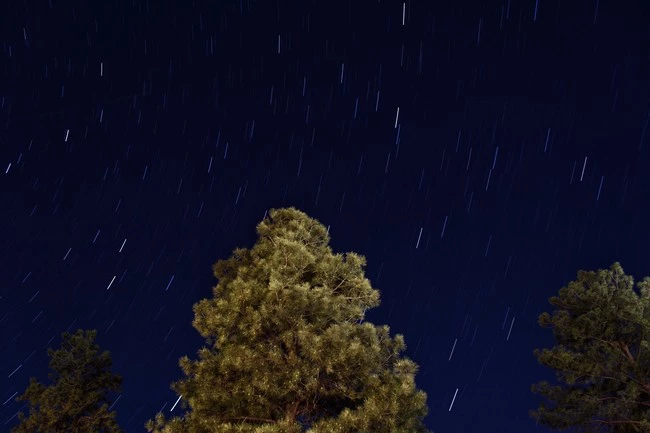 Perseidas