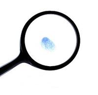 Plan General Tributario 2008 o cómo nos van a vigilar este año