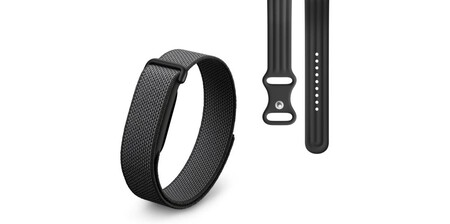Google Fitbit Air