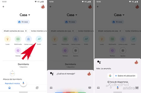 Google Home メッセージをアナウンスする