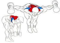 Ejercicios para fortalecer el hombro (III): orden de los ejercicios