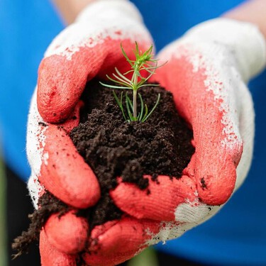 Cómo empezar un compost casero en enero con restos de cocina 