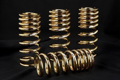 Muelles de oro de 24k de H&R