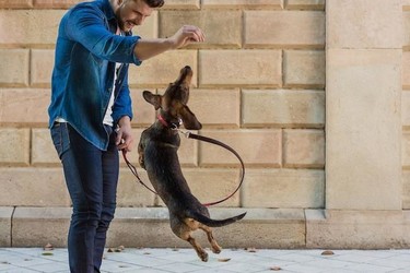 Perros felices (y a la moda) de la mano de Brott Dog Barcelona