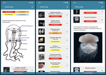 Capturas de pantalla de la guía de medusas de MedusApp