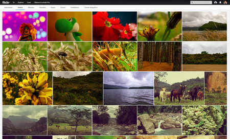 El nuevo cambio de Flickr es la oportunidad de la plataforma para regresar a sus años dorados