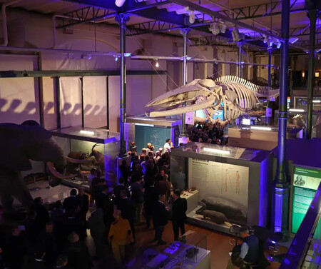 Museo Nacional Ciencias Naturales