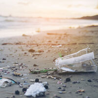 Los microplásticos están tan presentes en todo lo que ingerimos y tocamos que han aparecido ya en nuestra bilis