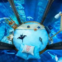Duerme entre los tiburones del acuario de París... si te atreves 