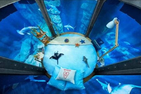 Duerme entre los tiburones del acuario de París... si te atreves 