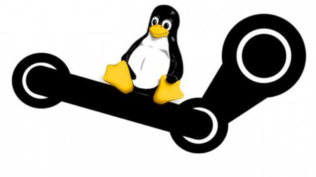 Steam para Linux sigue sin arrancar, y su uso baja del 1% por primera vez en meses