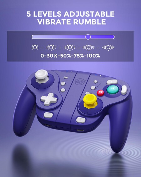 Control Nyxi Gamecube Nintendo Switch