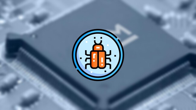 Arm Vulnerabilidad Memoria