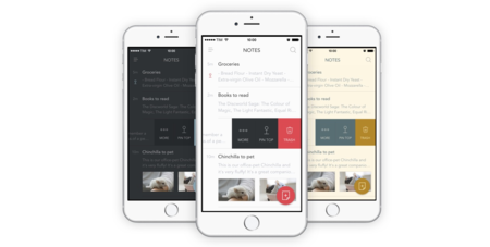 Bear 1.5 ya está disponible: etiquetas personalizadas, mejor gestión de notas, nuevos temas y mucho más